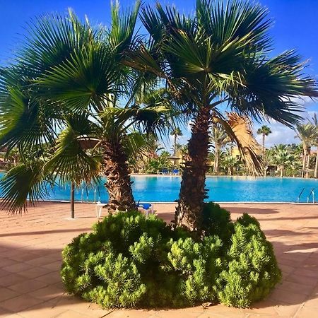 Fuerteventura Apartments Corralejo Ngoại thất bức ảnh