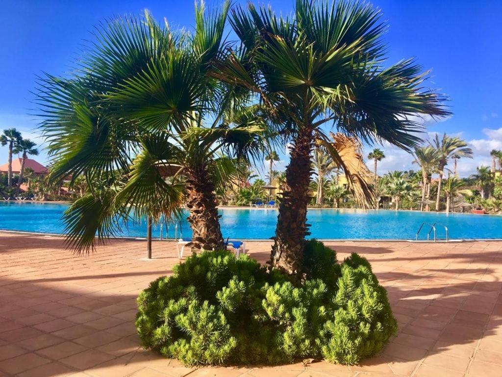 Fuerteventura Apartments Corralejo Ngoại thất bức ảnh